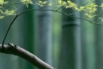 I Ching OnLine Viento Madera El Pozo de Agua y El Caldero Miami Los Ángeles