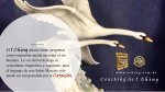 Seminario de Coaching de I Ching